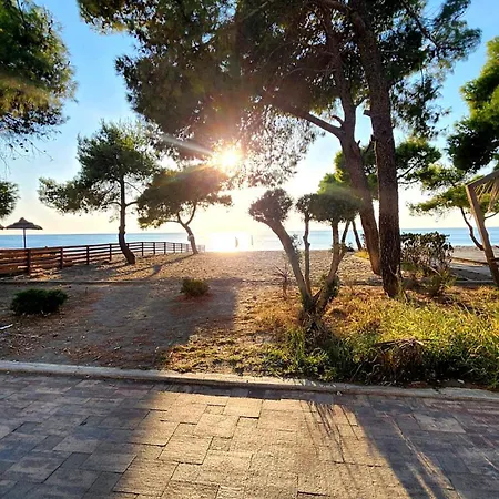 Seaview Comfort Appartement